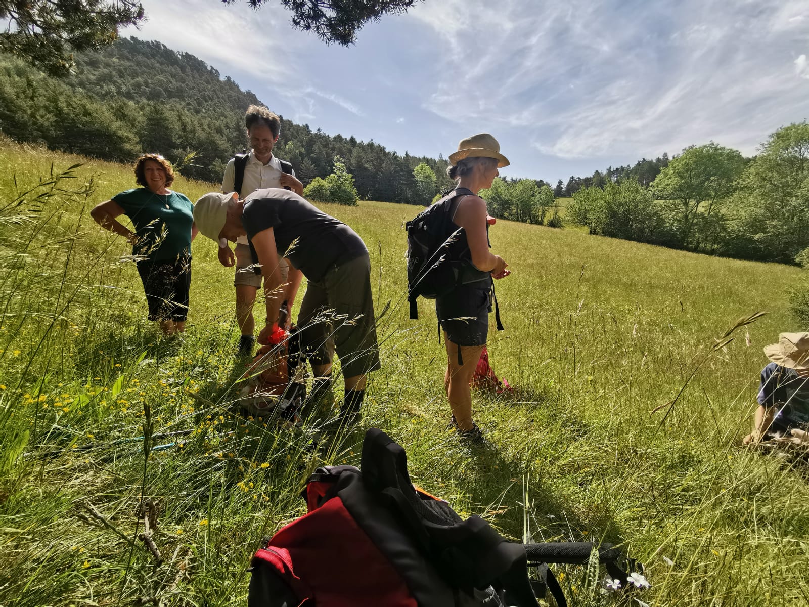 Rando-yoga-adultes-en-pleine-nature