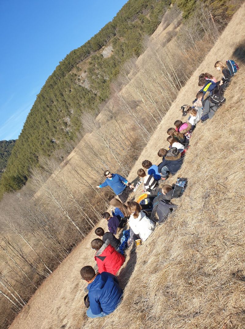 Educateur-environnement-avec-les-enfants-de CP-CE1-en-pleine-explication-faune-flore
