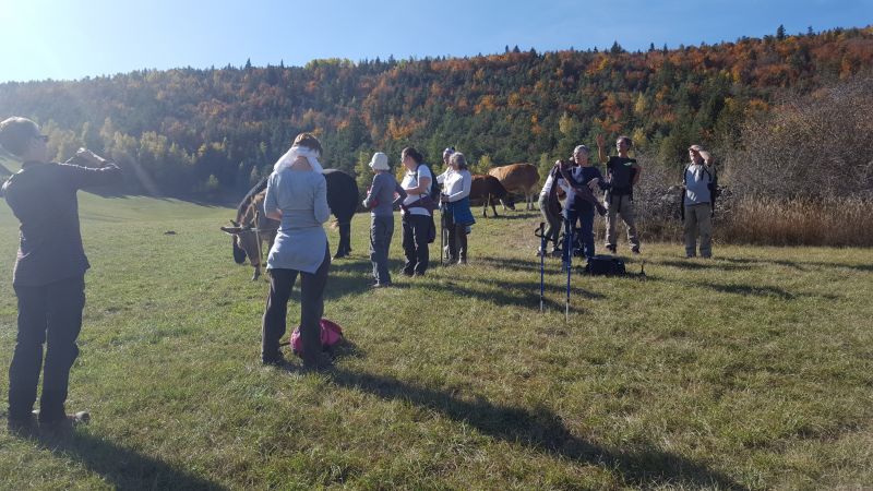 Yoga-Kundalini-et-marche-afghane