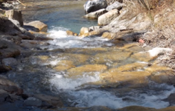 Montage-photos-sons-instrumentarium-Fontaine-de-l'ours