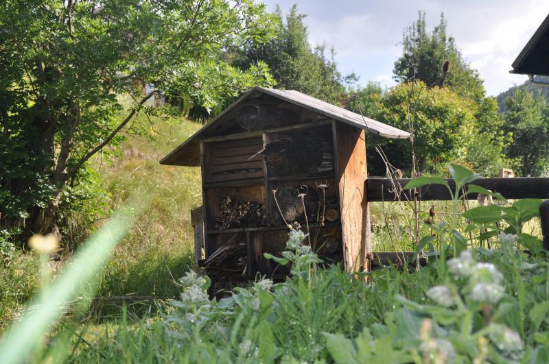 Extrieur jardin pdagogique cabane insectes