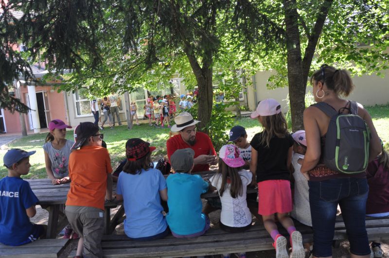 Extrieur classes et colo t Educ environnement et enfants travaux manuels et musique verte